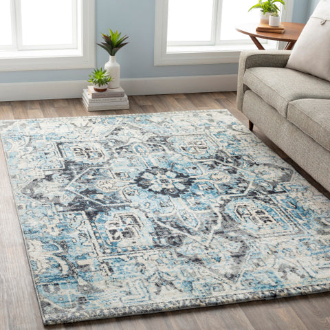 Image of Surya Apricity Traditional Sky Blue, Pale Blue, White, Medium Gray, Light Gray, Cream Rugs APY-1014