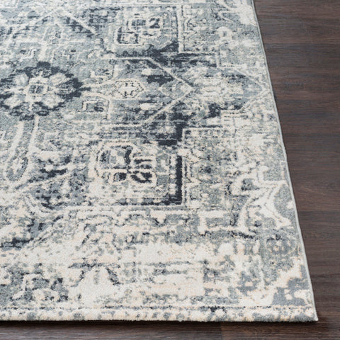 Image of Surya Apricity Traditional Light Gray, Medium Gray, White, Cream Rugs APY-1015