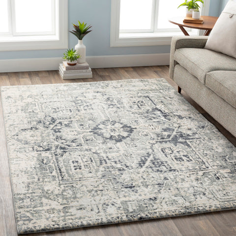 Image of Surya Apricity Traditional Light Gray, Medium Gray, White, Cream Rugs APY-1015