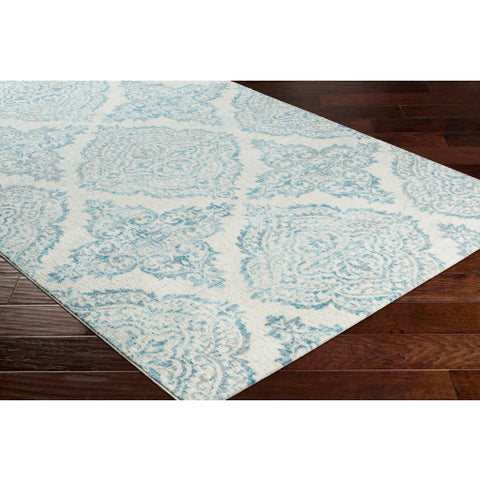 Image of Surya Apricity Traditional Sky Blue, Pale Blue, White, Medium Gray Rugs APY-1023