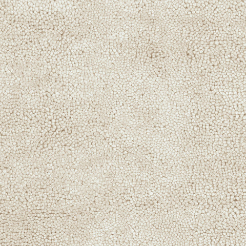 Image of Surya Aros Modern Cream Rugs AROS-2