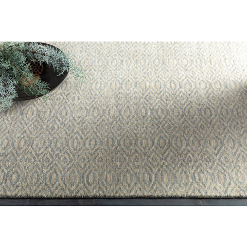 Image of Surya Astara Global Medium Gray, Khaki Rugs ASA-1004