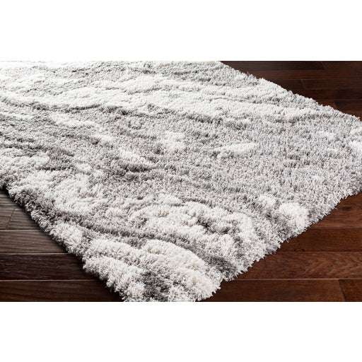 Surya Alta shag Modern Medium Gray, Light Gray, White Rugs ASG-2301