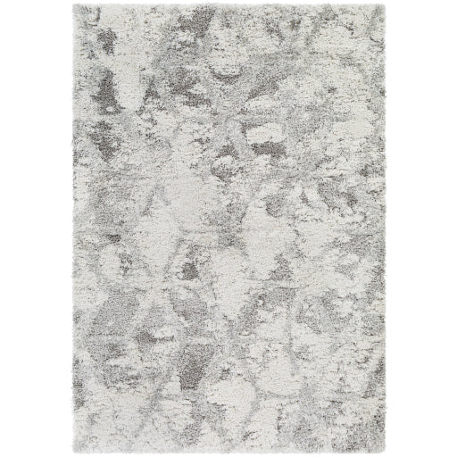 Surya Alta shag Modern Light Gray, White, Medium Gray Rugs ASG-2302