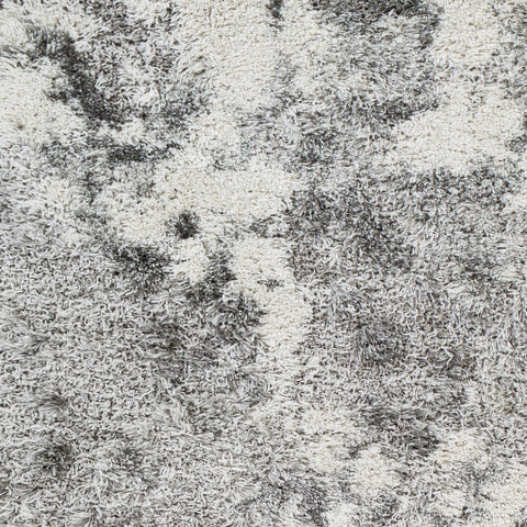 Image of Surya Alta shag Modern White, Light Gray, Medium Gray Rugs ASG-2304