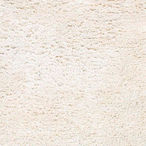 Image of Surya Ashton Modern Cream Rugs ASH-1300