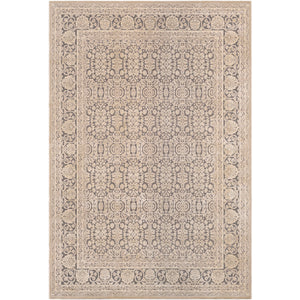 Surya Aesop Traditional Light Gray, Beige, Medium Gray Rugs ASP-2300