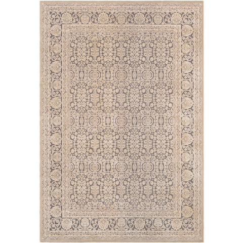 Image of Surya Aesop Traditional Light Gray, Beige, Medium Gray Rugs ASP-2300