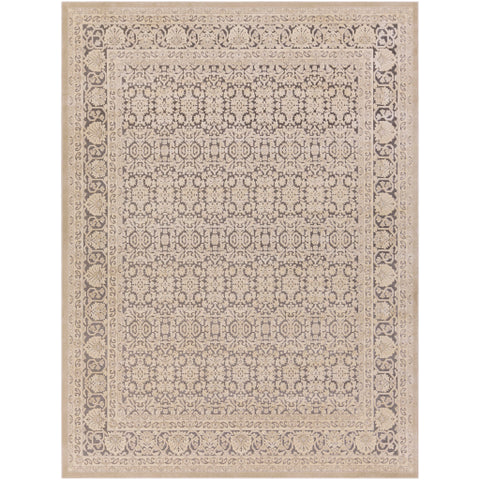 Image of Surya Aesop Traditional Light Gray, Beige, Medium Gray Rugs ASP-2300