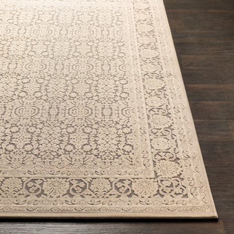 Image of Surya Aesop Traditional Light Gray, Beige, Medium Gray Rugs ASP-2300