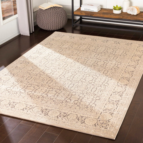 Image of Surya Aesop Traditional Light Gray, Beige, Medium Gray Rugs ASP-2300