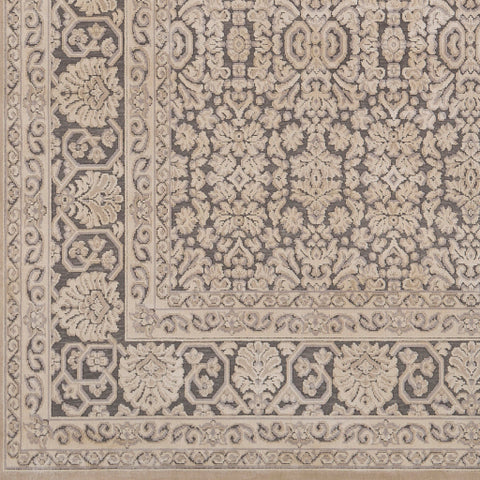 Image of Surya Aesop Traditional Light Gray, Beige, Medium Gray Rugs ASP-2300