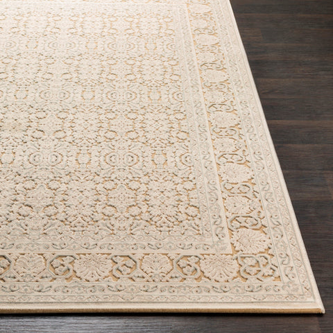 Image of Surya Aesop Traditional Denim, Light Gray, Beige, Khaki Rugs ASP-2301