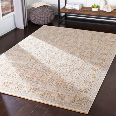 Image of Surya Aesop Traditional Denim, Light Gray, Beige, Khaki Rugs ASP-2301