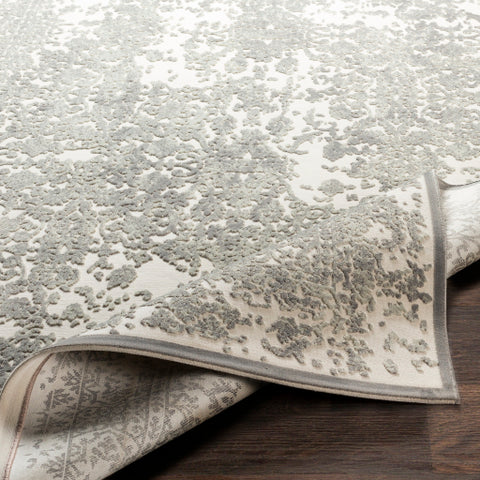 Image of Surya Aesop Traditional Sea Foam, Medium Gray, Beige Rugs ASP-2308