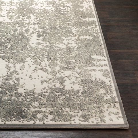 Image of Surya Aesop Traditional Sea Foam, Medium Gray, Beige Rugs ASP-2308