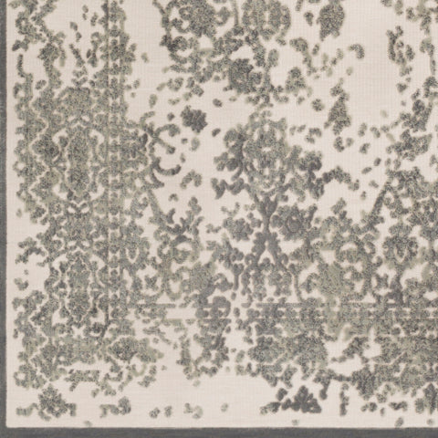 Image of Surya Aesop Traditional Sea Foam, Medium Gray, Beige Rugs ASP-2308