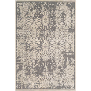 Surya Aesop Traditional Medium Gray, Beige Rugs ASP-2309