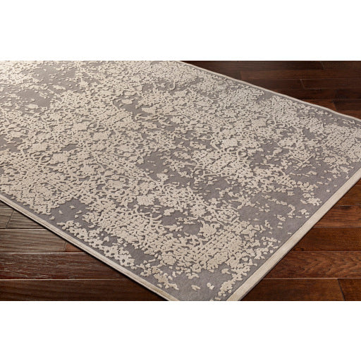 Surya Aesop Traditional Medium Gray, Beige Rugs ASP-2309