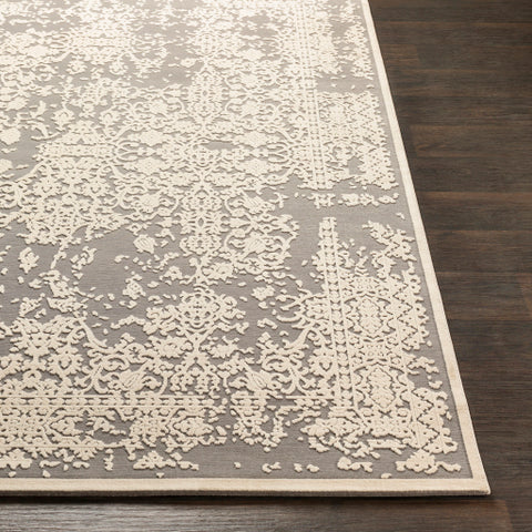 Image of Surya Aesop Traditional Medium Gray, Beige Rugs ASP-2309