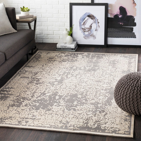 Image of Surya Aesop Traditional Medium Gray, Beige Rugs ASP-2309