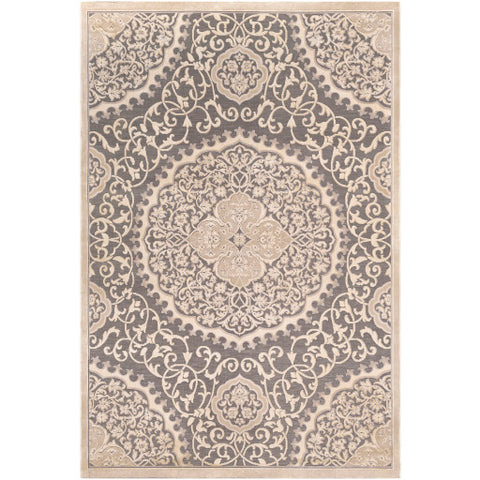 Image of Surya Aesop Traditional Light Gray, Beige, Medium Gray Rugs ASP-2311