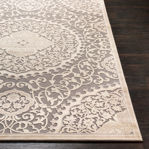 Image of Surya Aesop Traditional Light Gray, Beige, Medium Gray Rugs ASP-2311