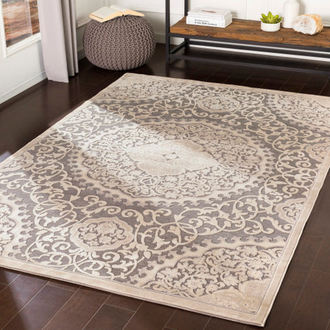 Image of Surya Aesop Traditional Light Gray, Beige, Medium Gray Rugs ASP-2311