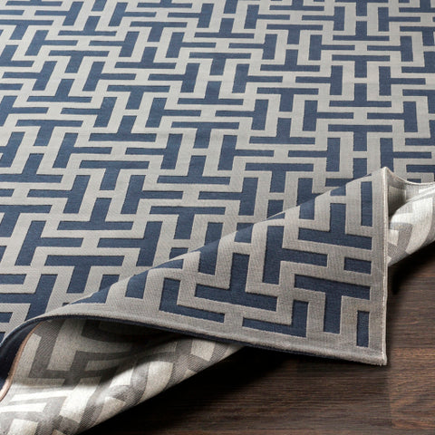 Image of Surya Aesop Modern Dark Blue, Medium Gray Rugs ASP-2312