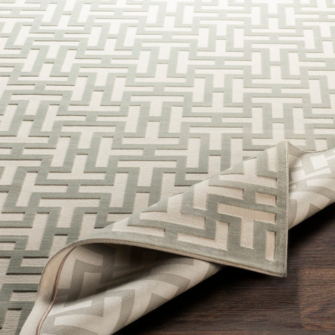 Image of Surya Aesop Modern Sea Foam, Beige Rugs ASP-2314