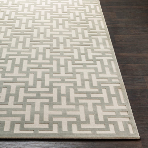 Image of Surya Aesop Modern Sea Foam, Beige Rugs ASP-2314