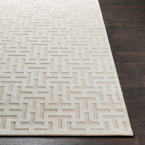 Image of Surya Aesop Modern Beige Rugs ASP-2315