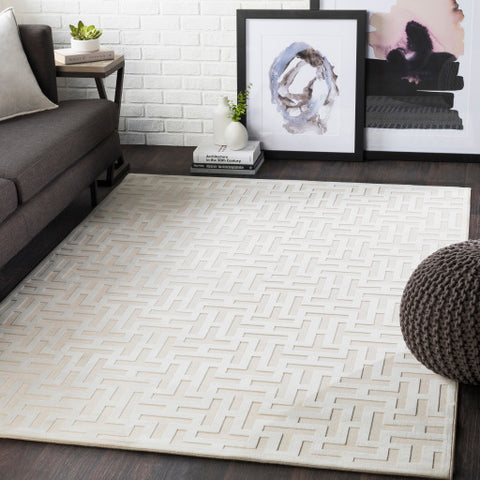 Image of Surya Aesop Modern Beige Rugs ASP-2315