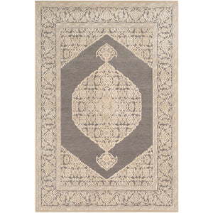 Surya Aesop Traditional Light Gray, Beige, Medium Gray Rugs ASP-2316