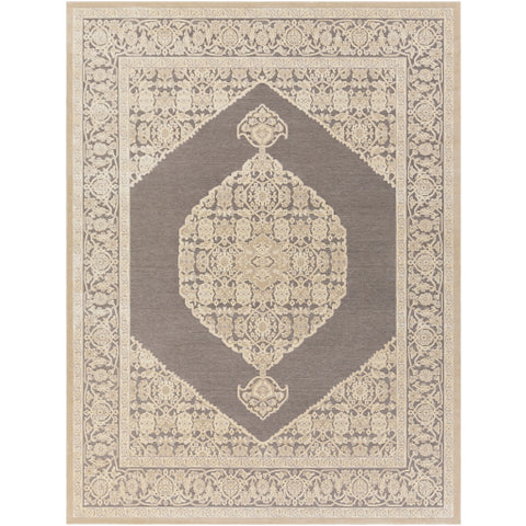 Image of Surya Aesop Traditional Light Gray, Beige, Medium Gray Rugs ASP-2316