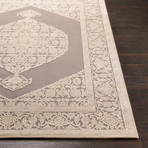 Image of Surya Aesop Traditional Light Gray, Beige, Medium Gray Rugs ASP-2316