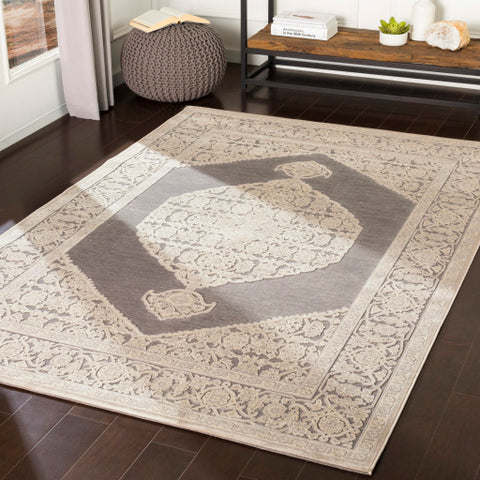 Image of Surya Aesop Traditional Light Gray, Beige, Medium Gray Rugs ASP-2316