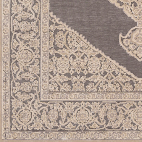 Image of Surya Aesop Traditional Light Gray, Beige, Medium Gray Rugs ASP-2316