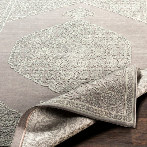 Image of Surya Aesop Traditional Medium Gray, Sea Foam Rugs ASP-2317