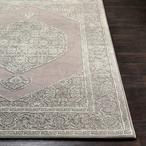 Image of Surya Aesop Traditional Medium Gray, Sea Foam Rugs ASP-2317