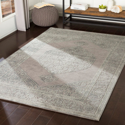 Image of Surya Aesop Traditional Medium Gray, Sea Foam Rugs ASP-2317