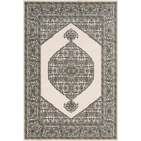 Image of Surya Aesop Traditional Sea Foam, Charcoal, Medium Gray, Beige Rugs ASP-2318