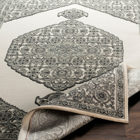 Image of Surya Aesop Traditional Sea Foam, Charcoal, Medium Gray, Beige Rugs ASP-2318