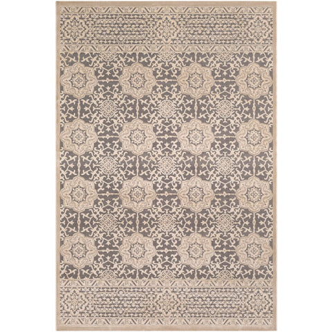 Image of Surya Aesop Traditional Light Gray, Beige, Medium Gray Rugs ASP-2319