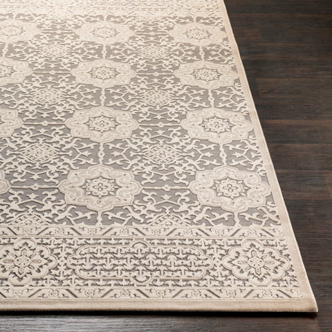 Image of Surya Aesop Traditional Light Gray, Beige, Medium Gray Rugs ASP-2319