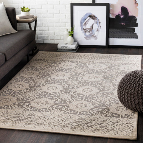 Image of Surya Aesop Traditional Light Gray, Beige, Medium Gray Rugs ASP-2319