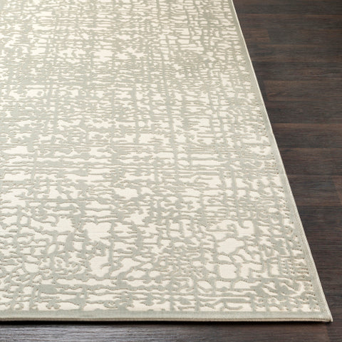 Image of Surya Aesop Modern Sea Foam, Beige Rugs ASP-2321