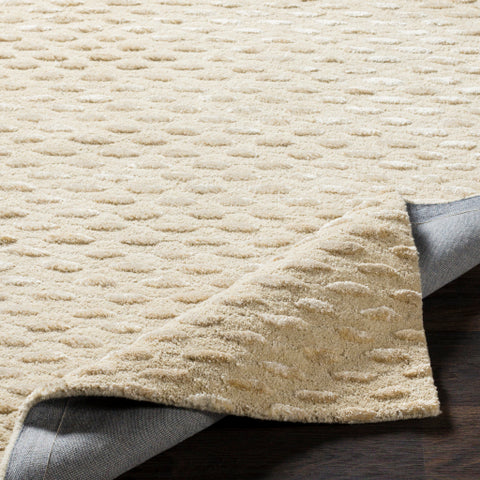 Image of Surya Atlantis Modern Cream, Beige Rugs ATL-6041