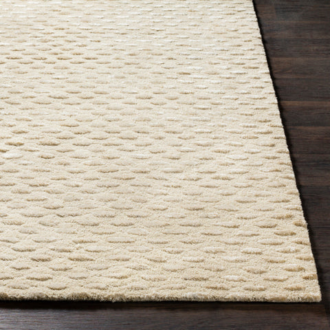 Image of Surya Atlantis Modern Cream, Beige Rugs ATL-6041