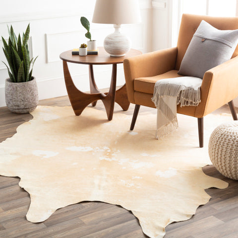 Image of Surya Antico Rustic Cream, Camel Rugs ATO-1000